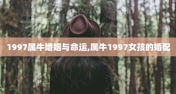 1997属牛婚姻与命运,属牛1997女孩的婚配