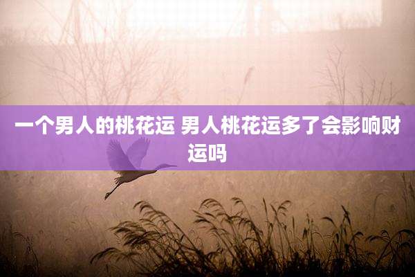 一个男人的桃花运 男人桃花运多了会影响财运吗