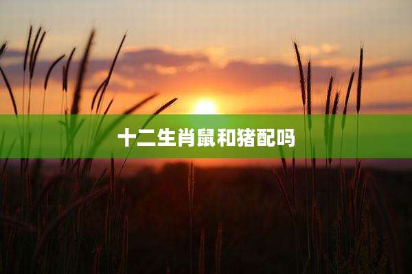 十二生肖鼠和猪配吗
