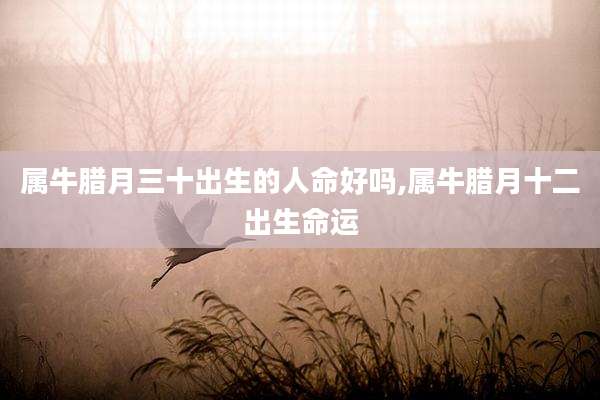 属牛腊月三十出生的人命好吗,属牛腊月十二出生命运
