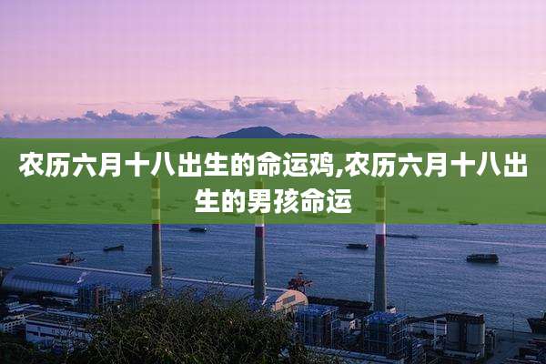 农历六月十八出生的命运鸡,农历六月十八出生的男孩命运