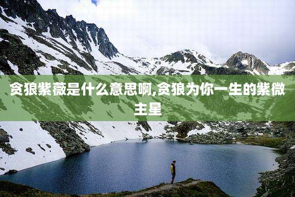贪狼紫薇是什么意思啊,贪狼为你一生的紫微主星