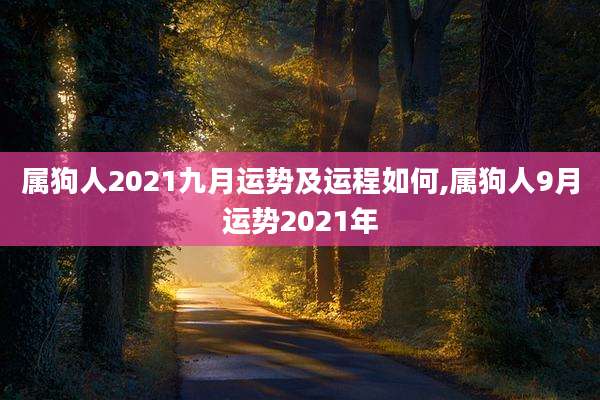 属狗人2021九月运势及运程如何,属狗人9月运势2021年