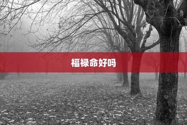 福禄命好吗