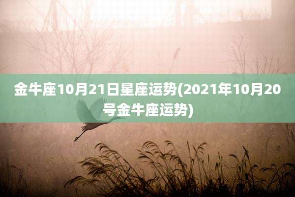 金牛座10月21日星座运势(2021年10月20号金牛座运势)