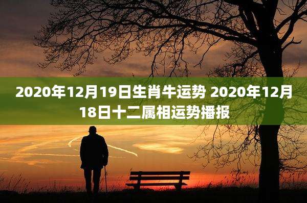 2020年12月19日生肖牛运势 2020年12月18日十二属相运势播报