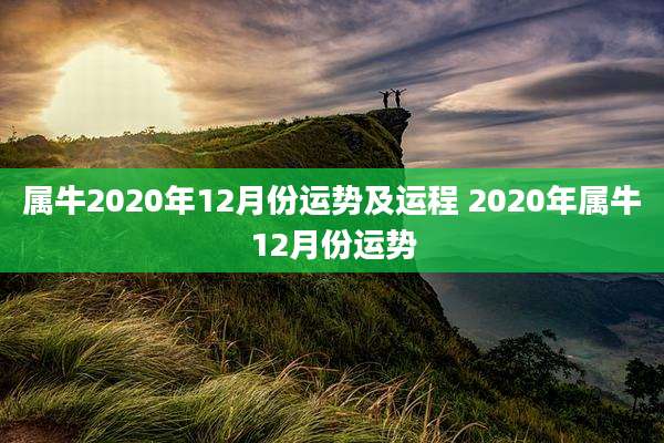 属牛2020年12月份运势及运程 2020年属牛12月份运势