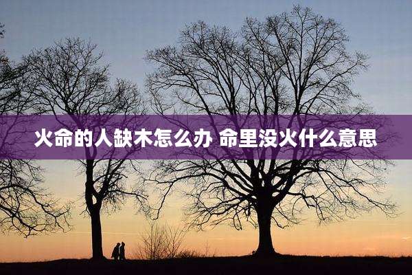 火命的人缺木怎么办 命里没火什么意思