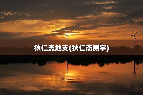狄仁杰地支(狄仁杰测字)