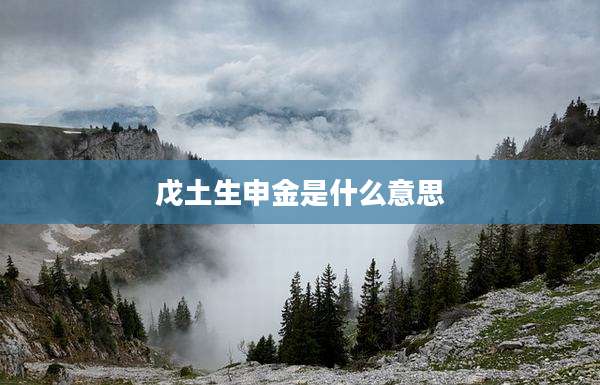 戊土生申金是什么意思