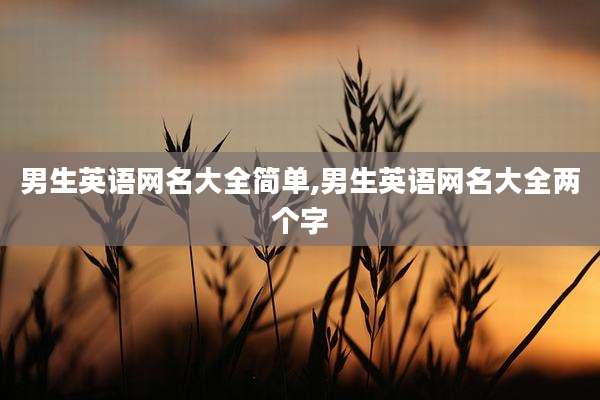 男生英语网名大全简单,男生英语网名大全两个字