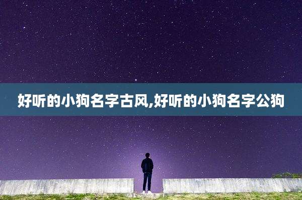 好听的小狗名字古风,好听的小狗名字公狗