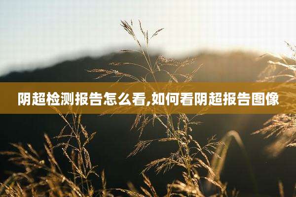阴超检测报告怎么看,如何看阴超报告图像