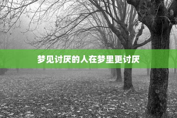 梦见讨厌的人在梦里更讨厌