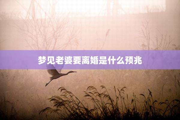 梦见老婆要离婚是什么预兆
