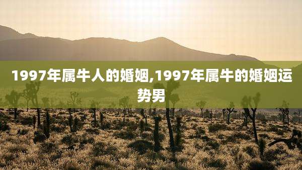 1997年属牛人的婚姻,1997年属牛的婚姻运势男