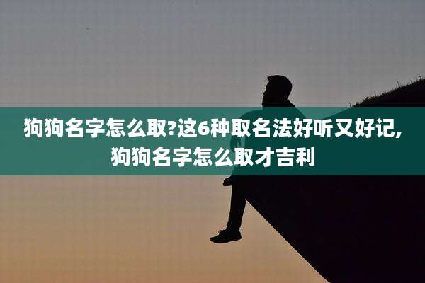 狗狗名字怎么取?这6种取名法好听又好记,狗狗名字怎么取才吉利