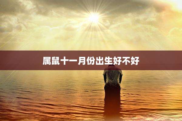 属鼠十一月份出生好不好