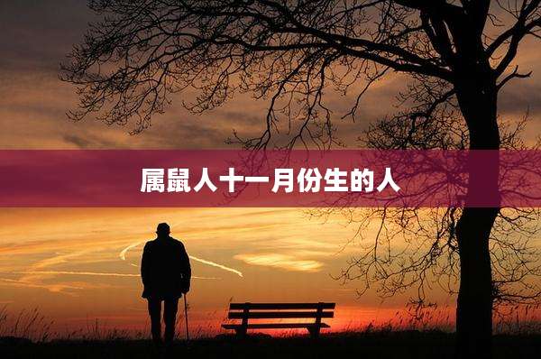属鼠人十一月份生的人