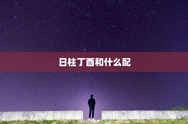 日柱丁酉和什么配