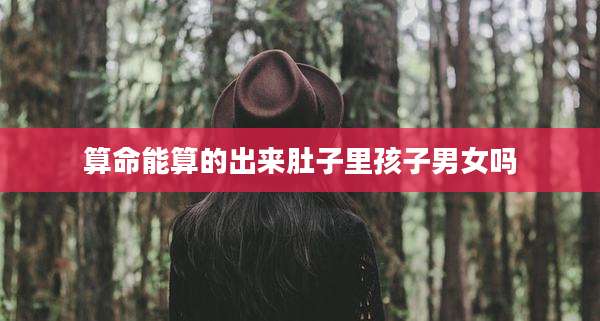 算命能算的出来肚子里孩子男女吗