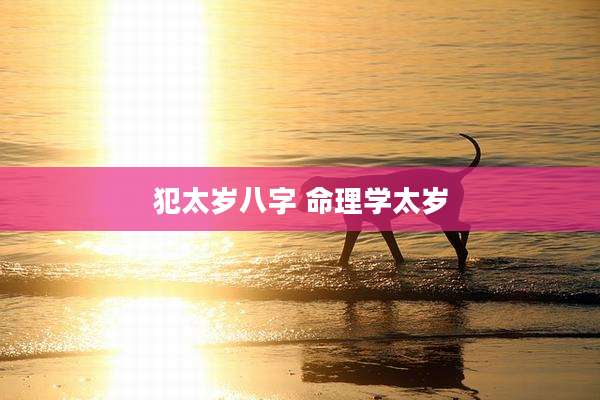 犯太岁八字 命理学太岁