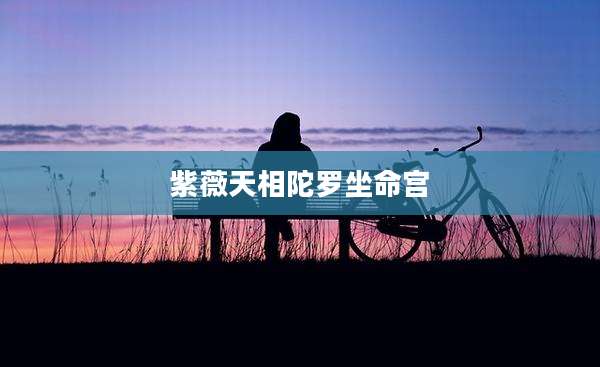 紫薇天相陀罗坐命宫