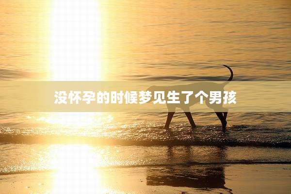 没怀孕的时候梦见生了个男孩