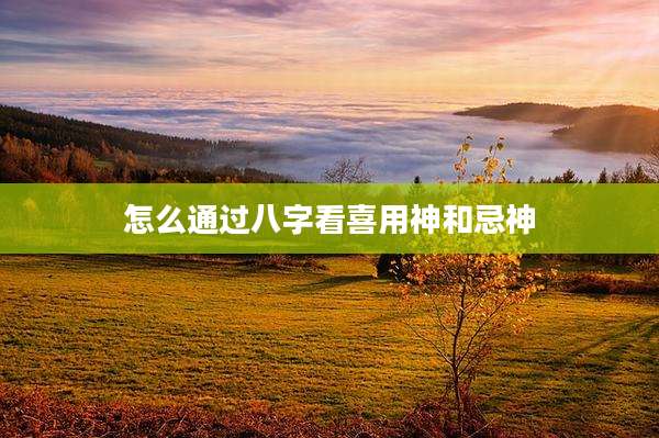 怎么通过八字看喜用神和忌神