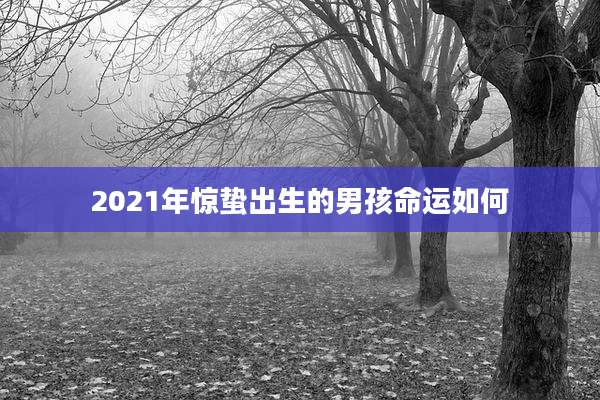 2021年惊蛰出生的男孩命运如何