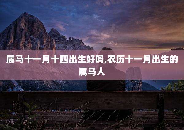 属马十一月十四出生好吗,农历十一月出生的属马人