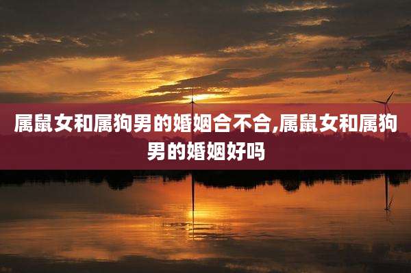 属鼠女和属狗男的婚姻合不合,属鼠女和属狗男的婚姻好吗