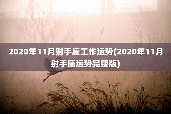 2020年11月射手座工作运势(2020年11月射手座运势完整版)