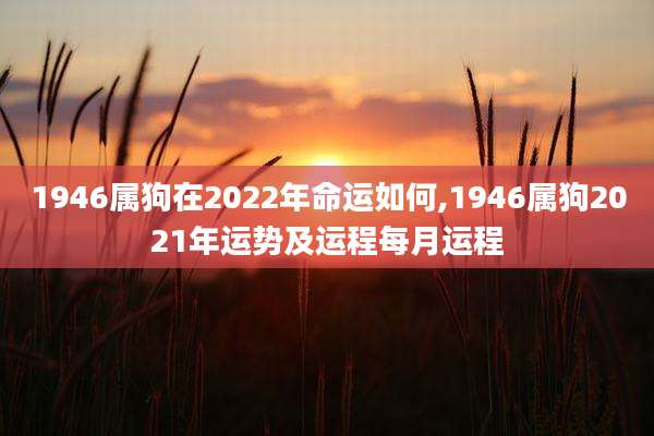 1946属狗在2022年命运如何,1946属狗2021年运势及运程每月运程