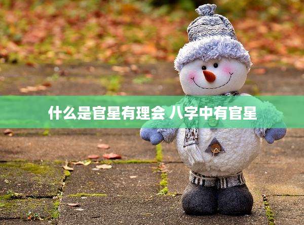 什么是官星有理会 八字中有官星