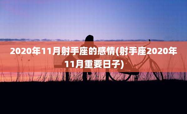 2020年11月射手座的感情(射手座2020年11月重要日子)