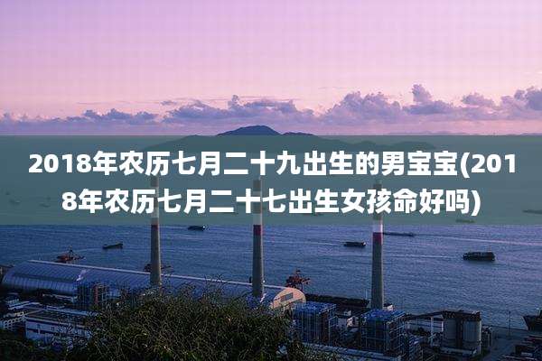 2018年农历七月二十九出生的男宝宝(2018年农历七月二十七出生女孩命好吗)