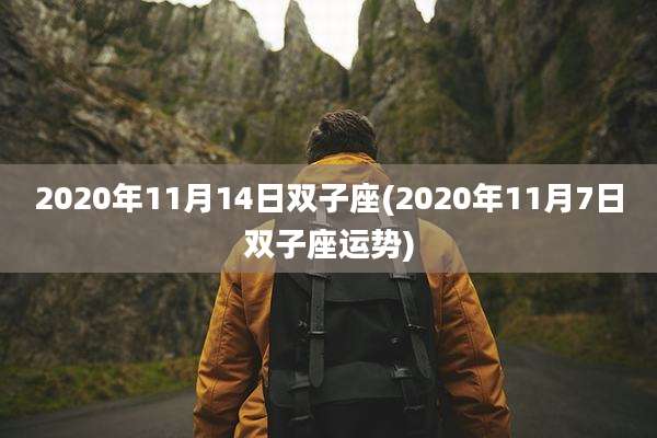 2020年11月14日双子座(2020年11月7日双子座运势)