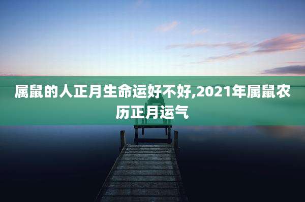 属鼠的人正月生命运好不好,2021年属鼠农历正月运气