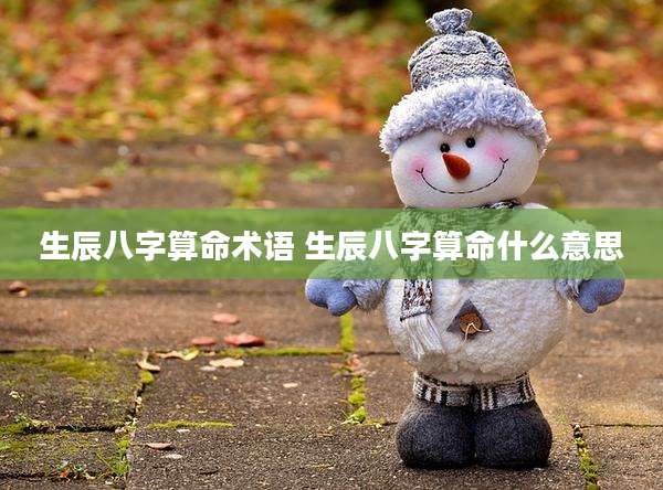 生辰八字算命术语 生辰八字算命什么意思