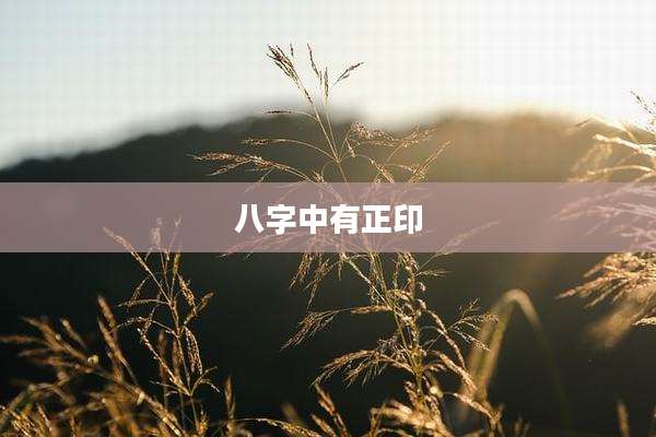 八字中有正印