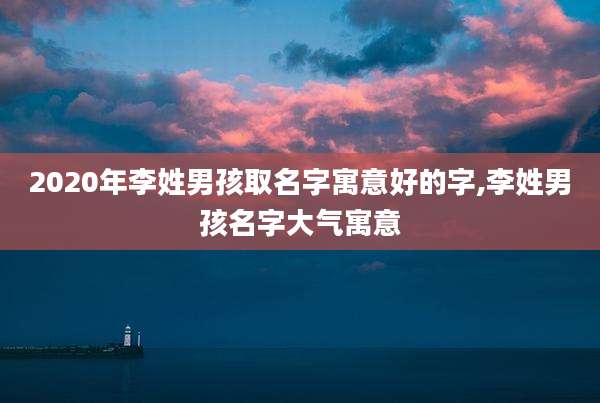 2020年李姓男孩取名字寓意好的字,李姓男孩名字大气寓意
