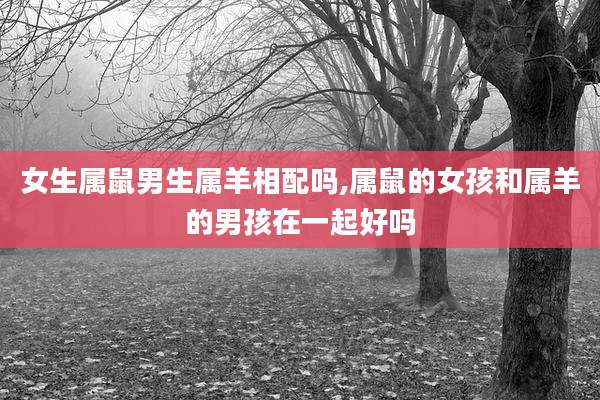 女生属鼠男生属羊相配吗,属鼠的女孩和属羊的男孩在一起好吗