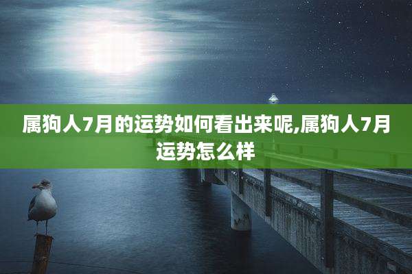 属狗人7月的运势如何看出来呢,属狗人7月运势怎么样