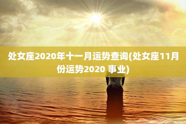 处女座2020年十一月运势查询(处女座11月份运势2020 事业)