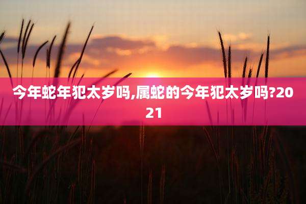 今年蛇年犯太岁吗,属蛇的今年犯太岁吗?2021