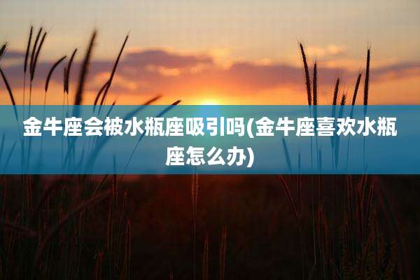 金牛座会被水瓶座吸引吗(金牛座喜欢水瓶座怎么办)