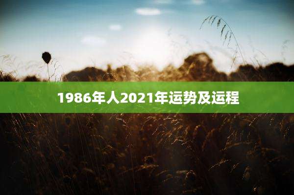 1986年人2021年运势及运程