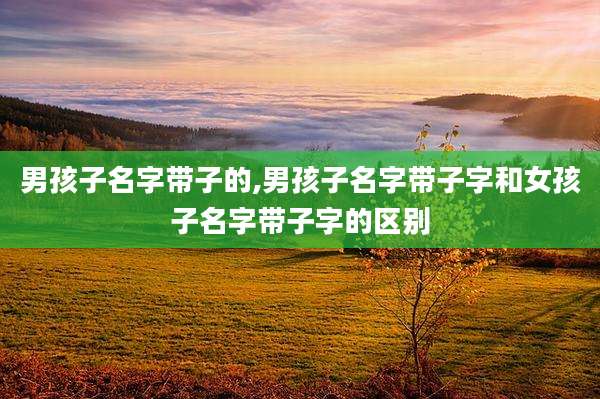 男孩子名字带子的,男孩子名字带子字和女孩子名字带子字的区别