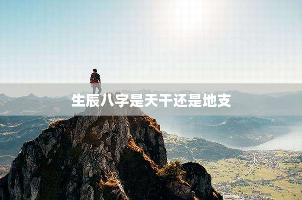 生辰八字是天干还是地支